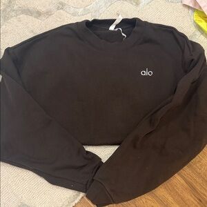 ALO chocolate brown sweatshirt